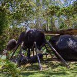 ALTO MAYO – MOYOBAMBA & RIOJA - Imagen 2