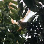 CITY TOUR TARAPOTO – TRADICIÓN & NATURALEZA - Imagen 7