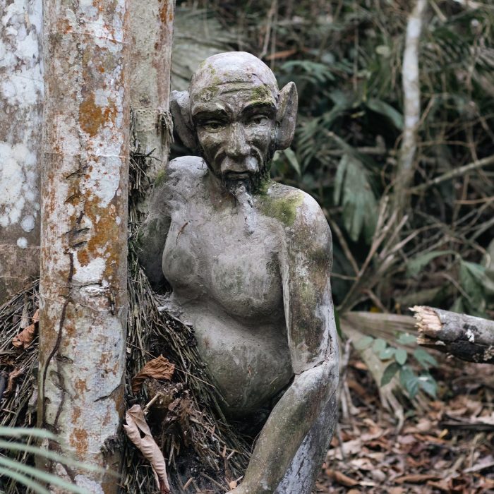 CITY TOUR TARAPOTO – TRADICIÓN & NATURALEZA - Imagen 6
