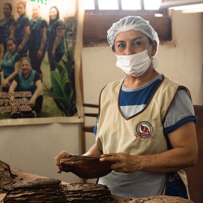 CITY TOUR TARAPOTO – TRADICIÓN & NATURALEZA - Imagen 3