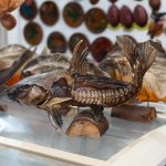 CITY TOUR TARAPOTO – TRADICIÓN & NATURALEZA - Imagen 2